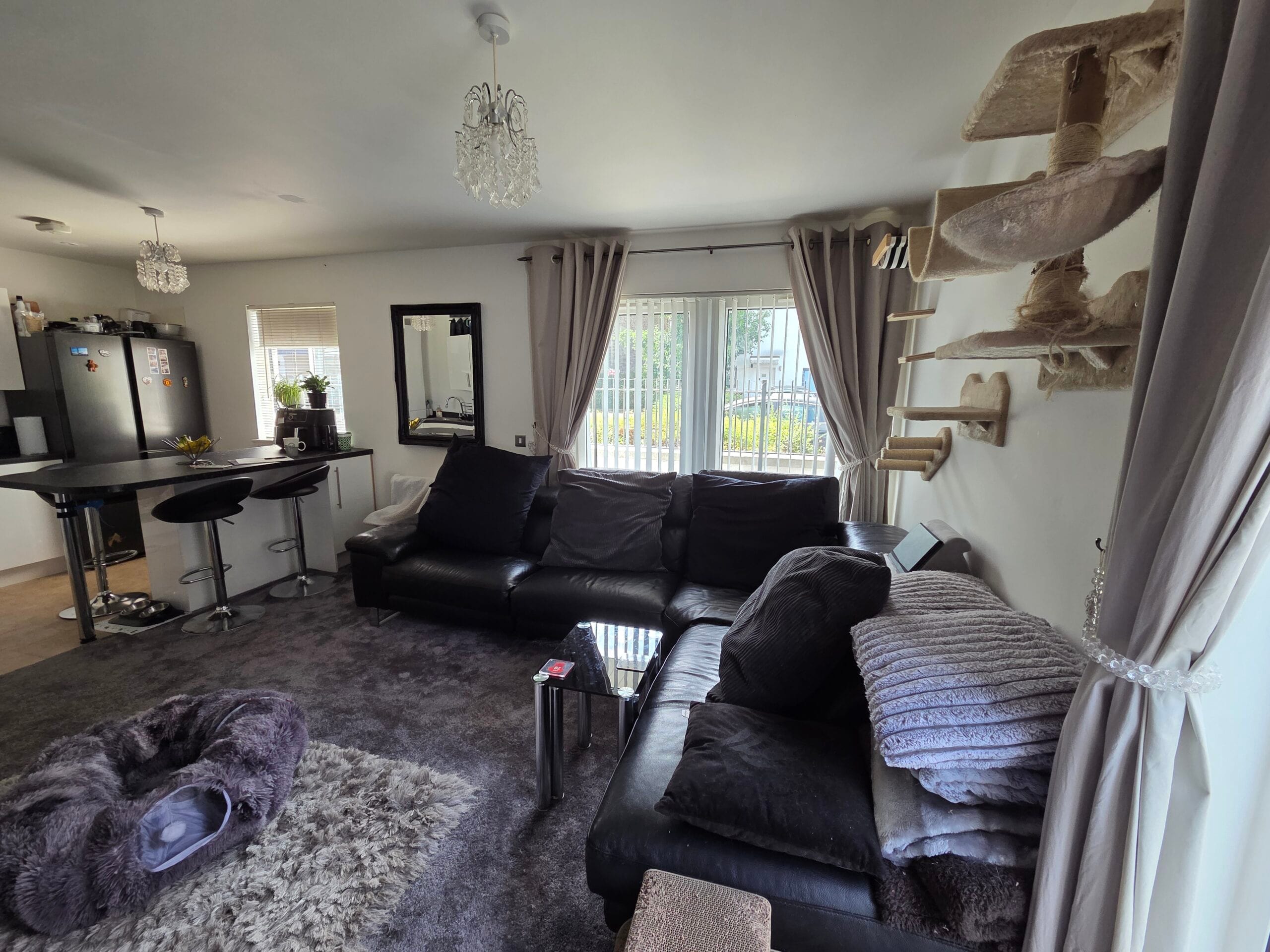 Number 26
