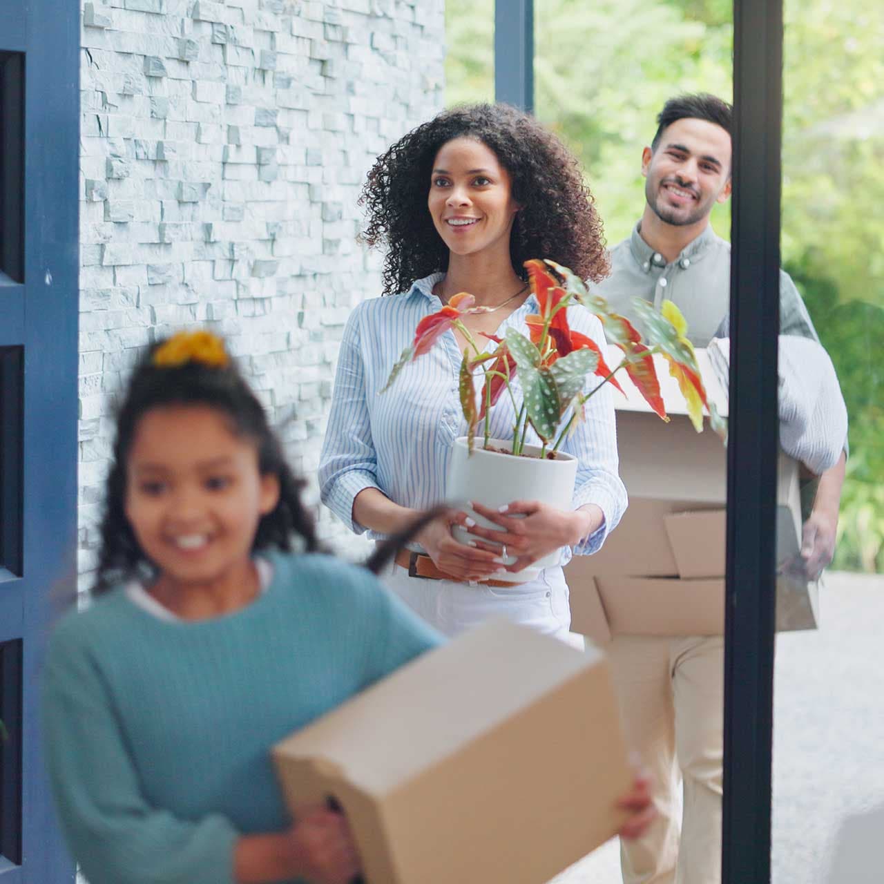 <strong>Buying a Property</strong>