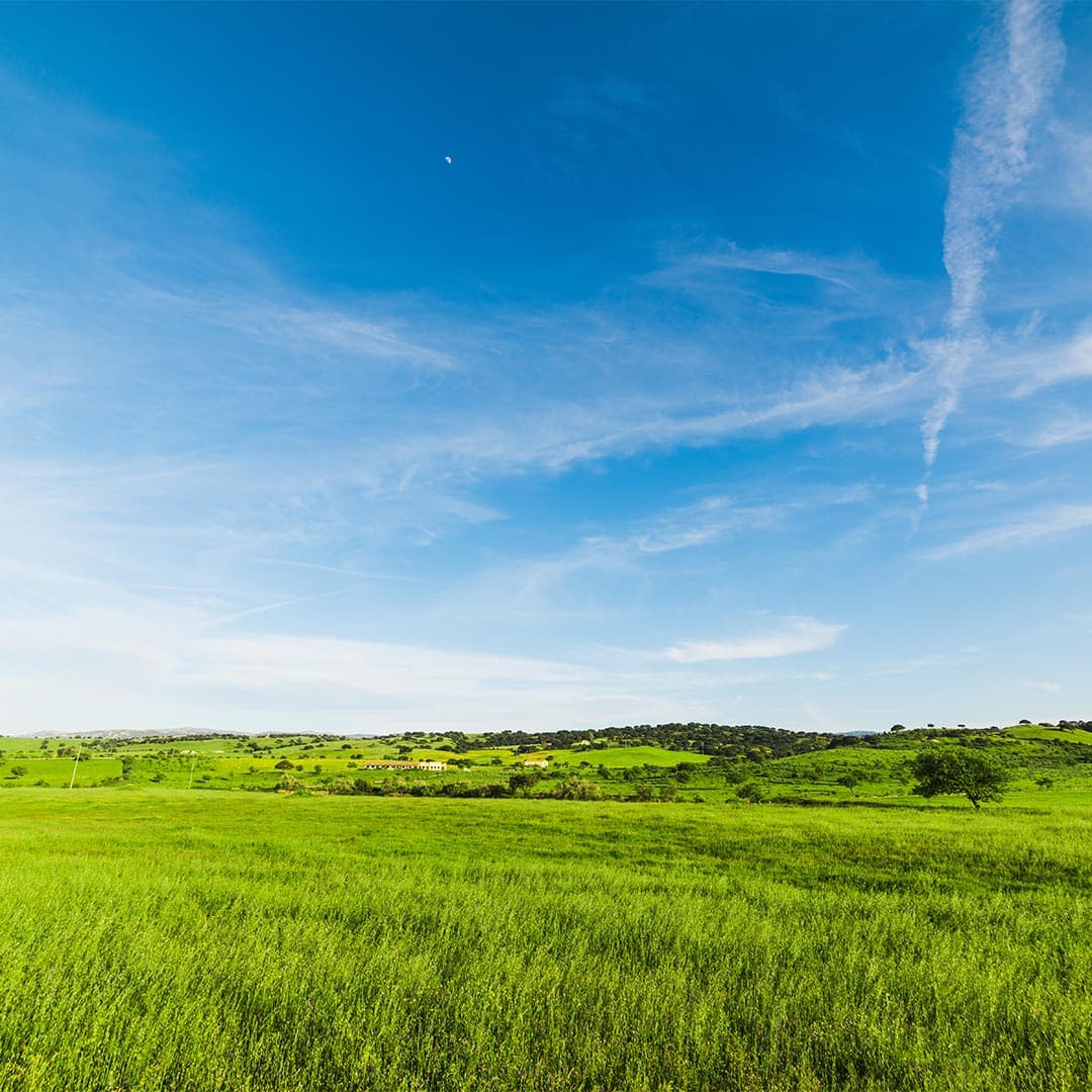 <strong>Make the Most Out of Your Land</strong>