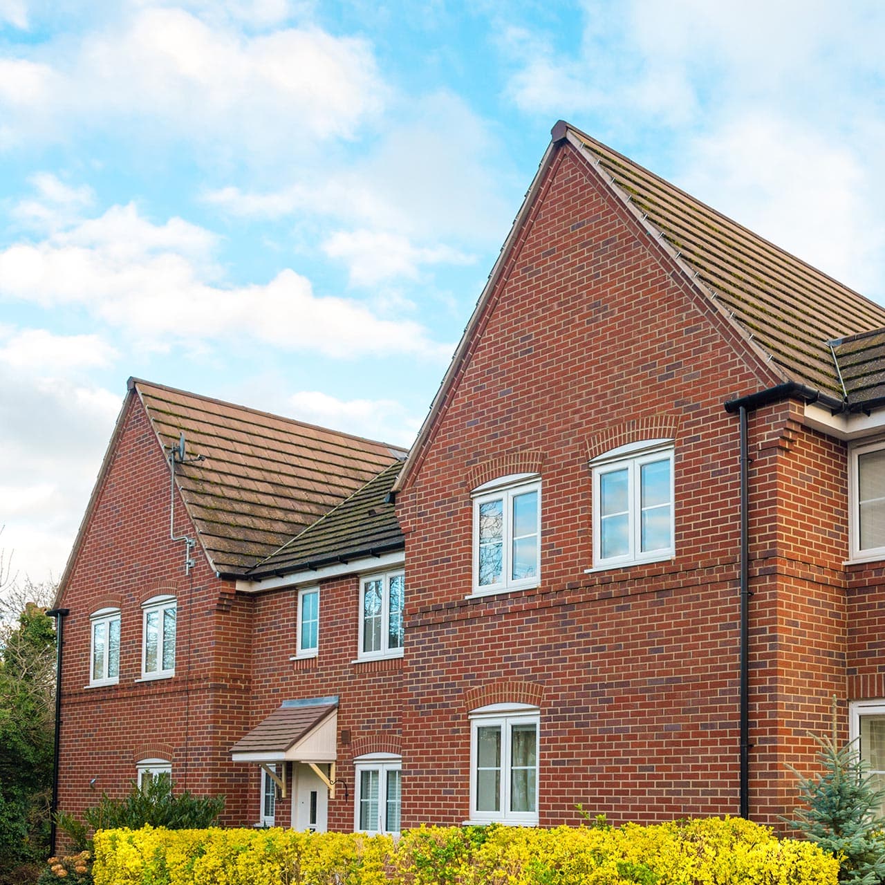 <strong>Professional Photography</strong>